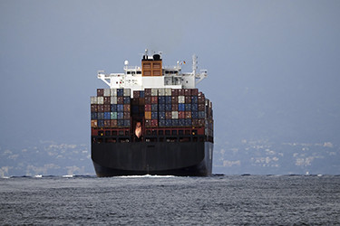 Sea Container Shipment